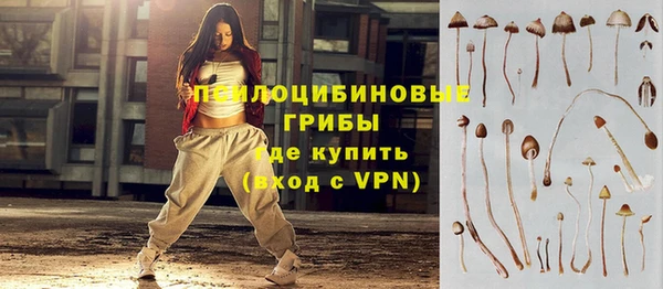 apvp Нягань