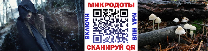 Галлюциногенные грибы мицелий  наркотики  Аксай 