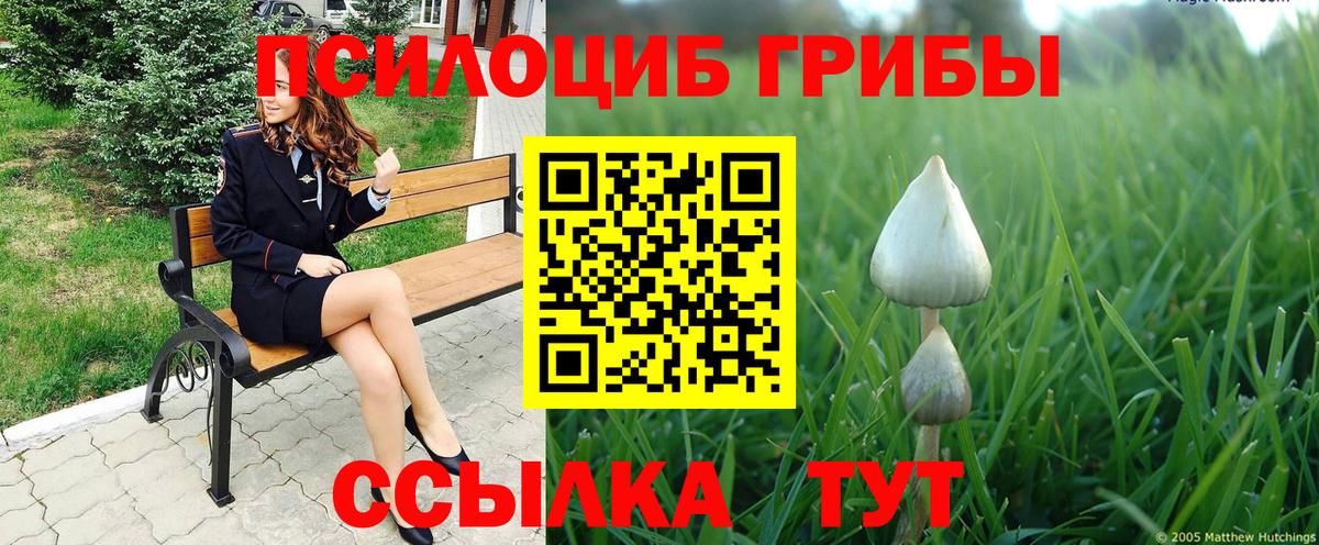 Галлюциногенные грибы GOLDEN TEACHER  Галлюциногенные грибы MAGIC MUSHROOMS  Аксай 