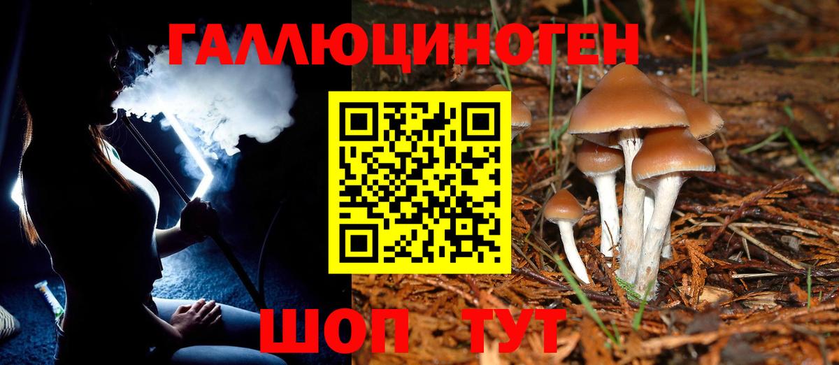 Галлюциногенные грибы мухоморы Аксай