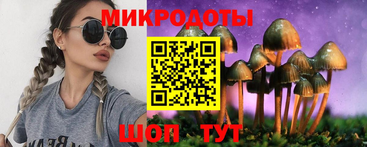 Псилоцибиновые грибы Cubensis  Вход с VPN  Аксай 